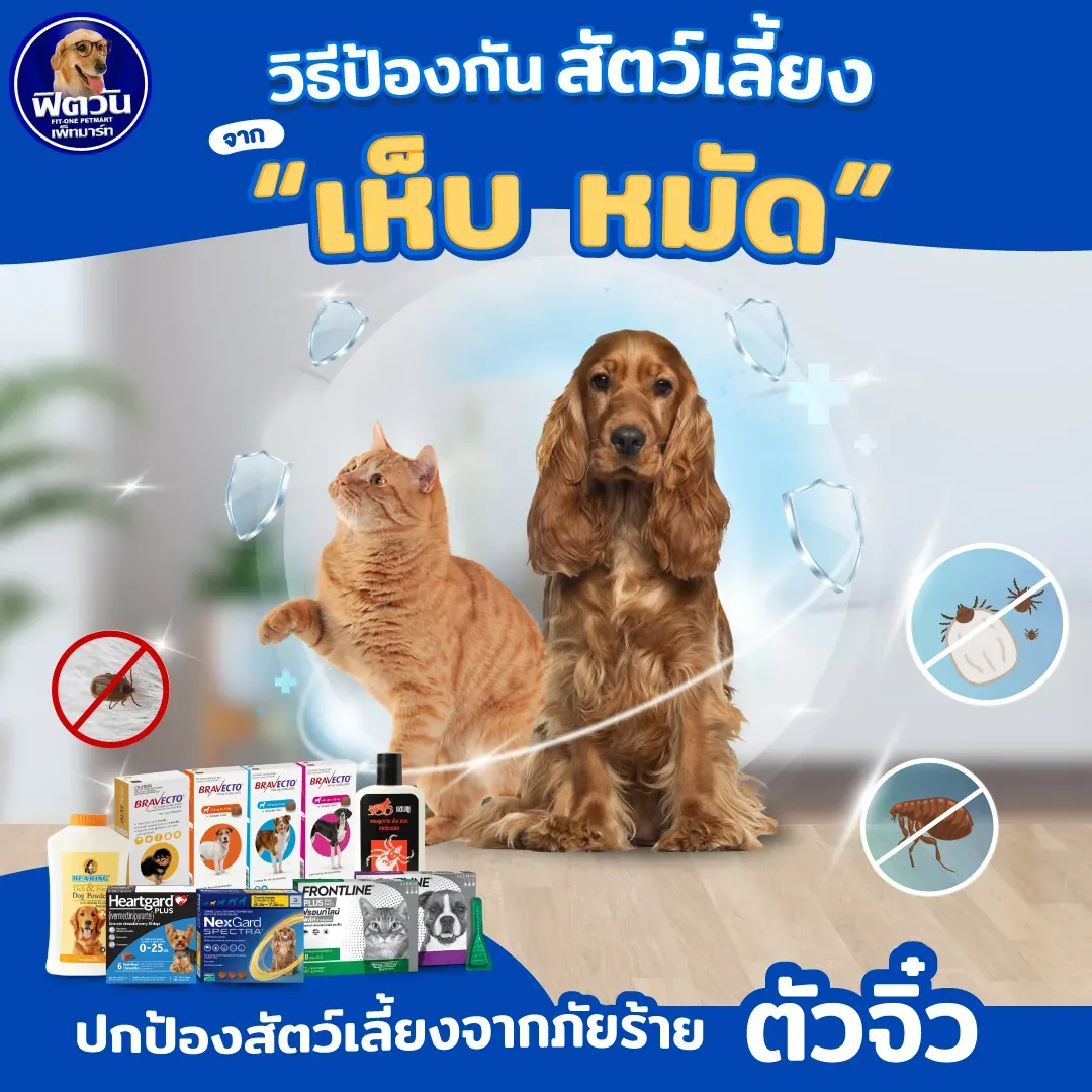 วิธีป้องกันสัตว์เลี้ยง "เห็บ หมัด"