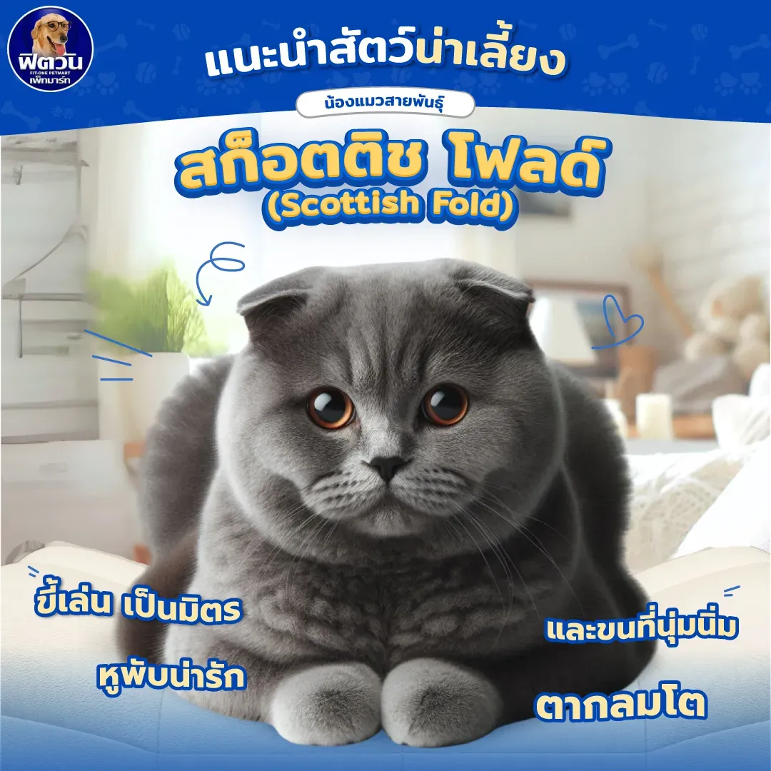 เลือกอาหารสุนัขที่โซเดียมไม่สูง
