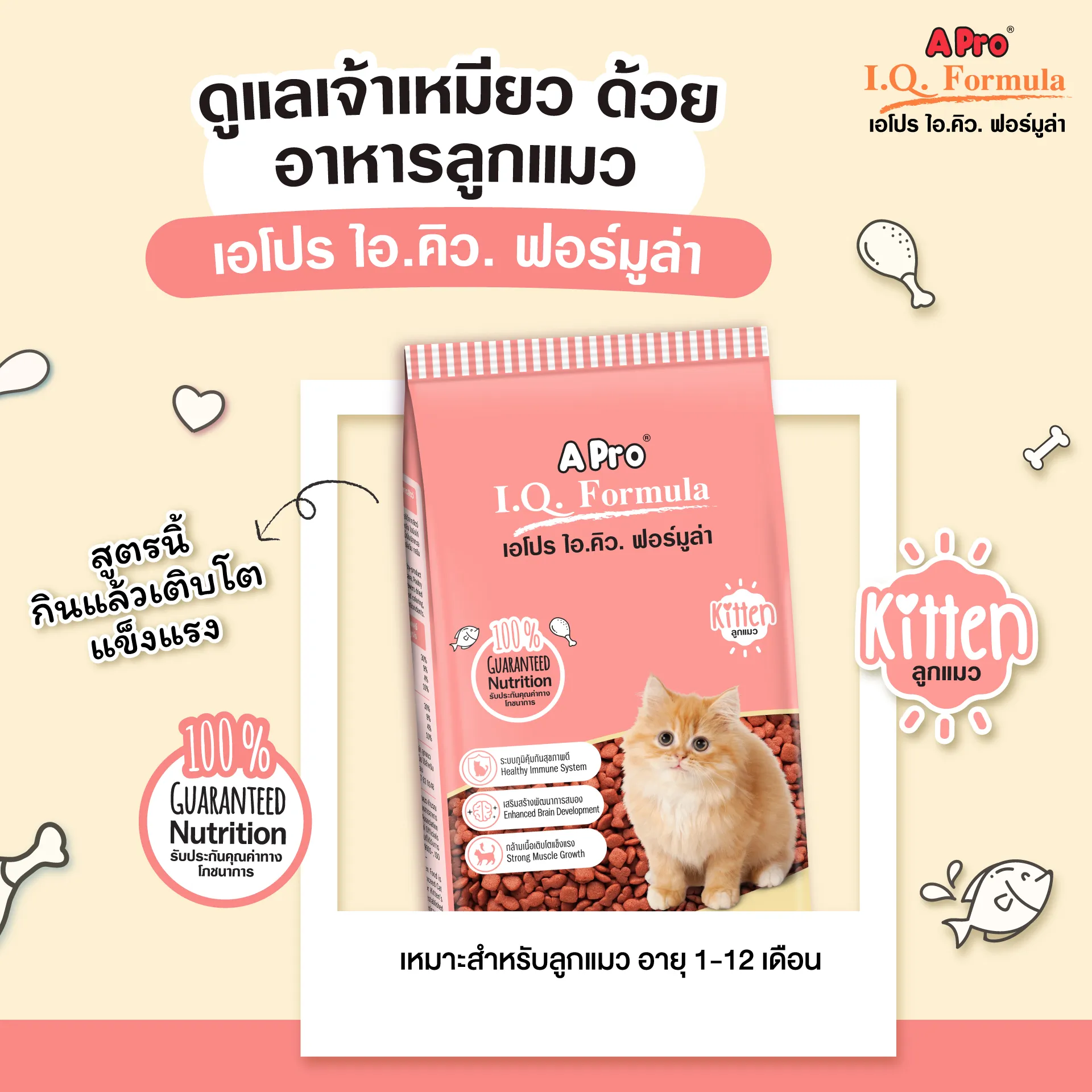 A Pro I.Q. Kitten อาหารเม็ดสำหรับลูกแมว