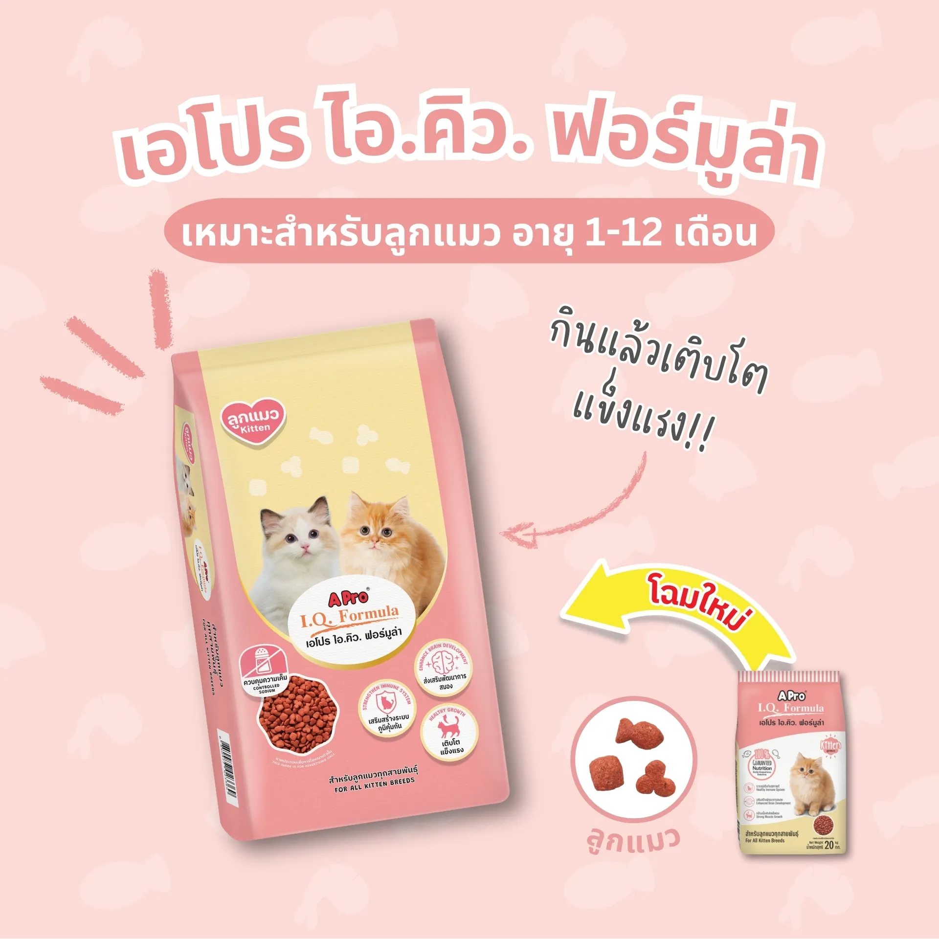 A Pro I.Q. Kitten อาหารเม็ดสำหรับลูกแมว