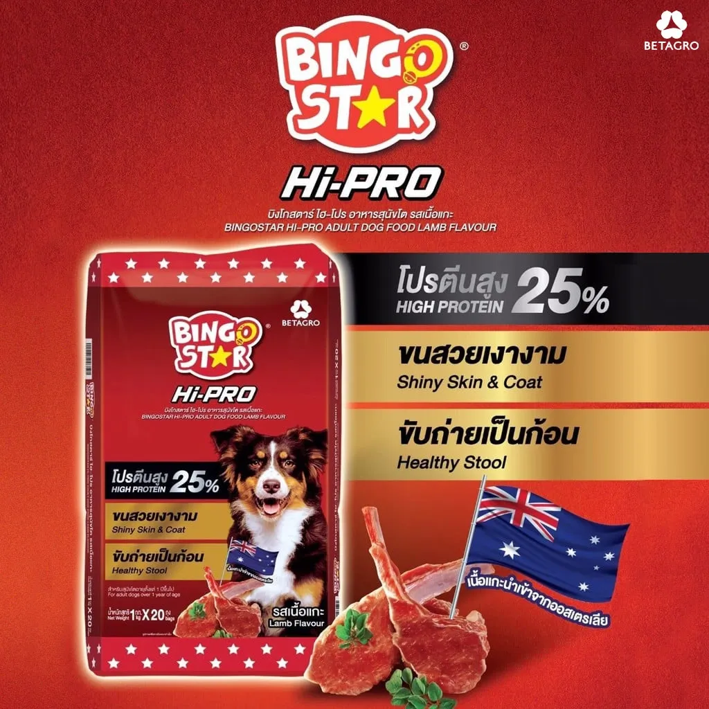 Bingo Star Hi Pro อาหารสำหรับสุนัขโต รสเนื้อแกะ