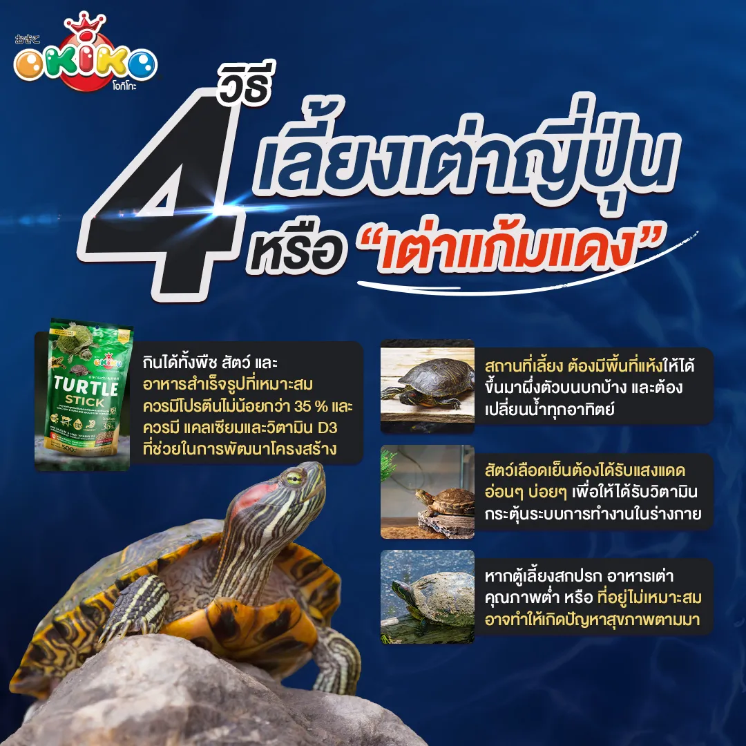 Okiko Turtle Sticks อาหารเต่า