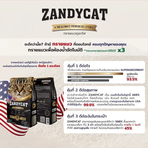 Zandycat ทรายแมวภูเขาไฟ สูตร Original