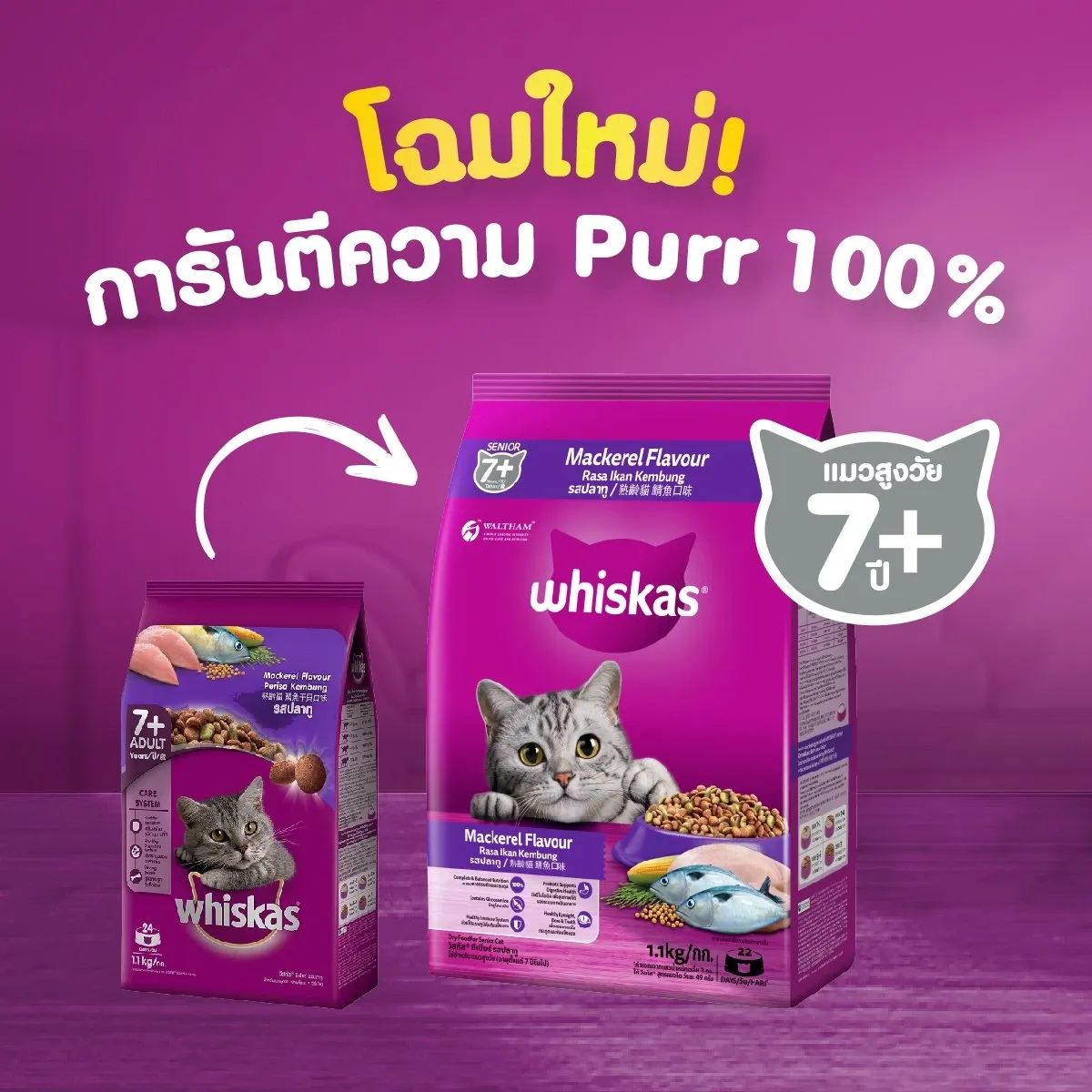 Whiskas Senior อาหารเม็ดสำหรับแมวสูงวัย 7+