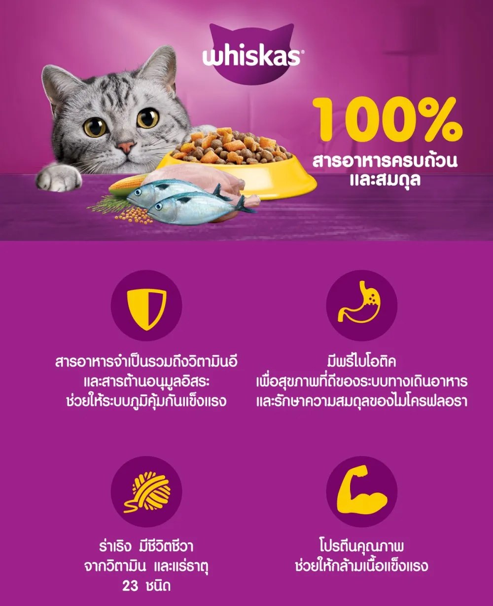 Whiskas Senior อาหารเม็ดสำหรับแมวสูงวัย 7+