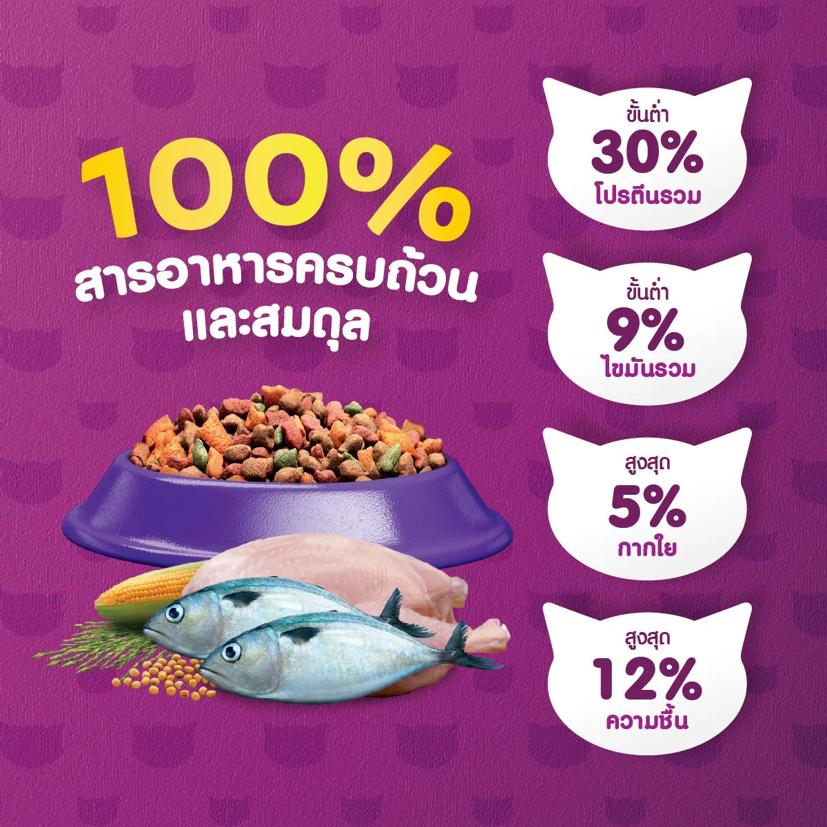 Whiskas Senior อาหารเม็ดสำหรับแมวสูงวัย 7+
