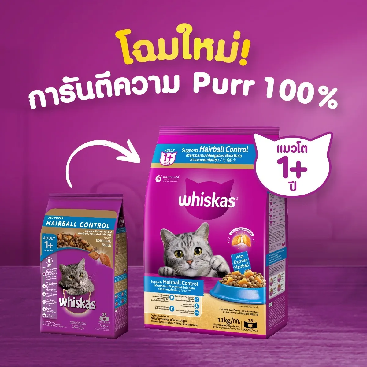 Whiskas Adult Hairball สูตรควบคุมก้อนขน