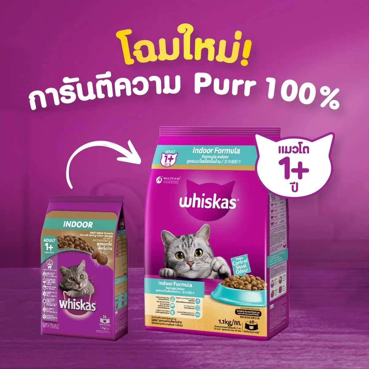 Whiskas Adult Indoor เลี้ยงในบ้าน 1.1Kg