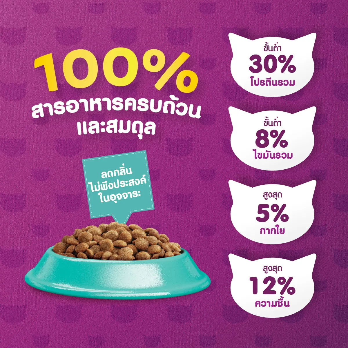 Whiskas Adult Indoor เลี้ยงในบ้าน 1.1Kg