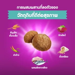 Whiskas Adult Indoor เลี้ยงในบ้าน 1.1Kg