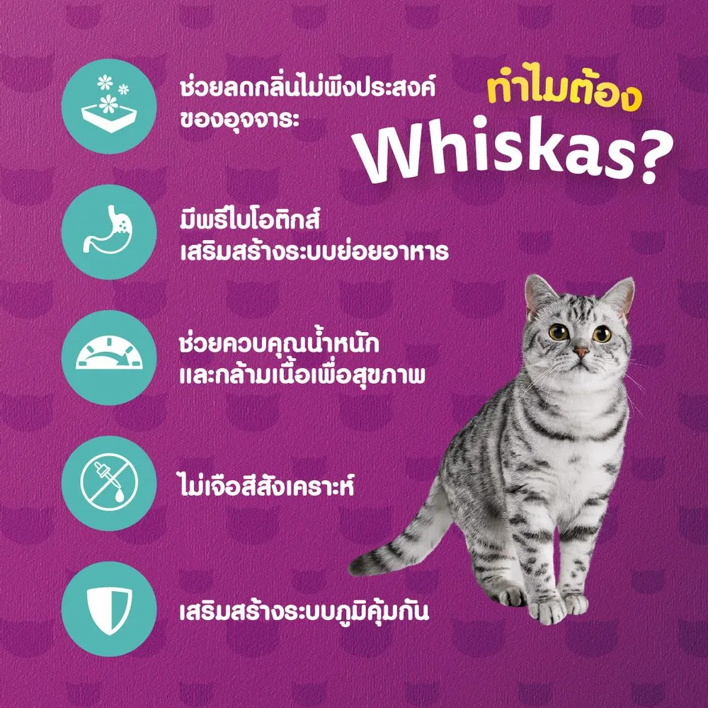Whiskas Adult Indoor เลี้ยงในบ้าน 1.1Kg