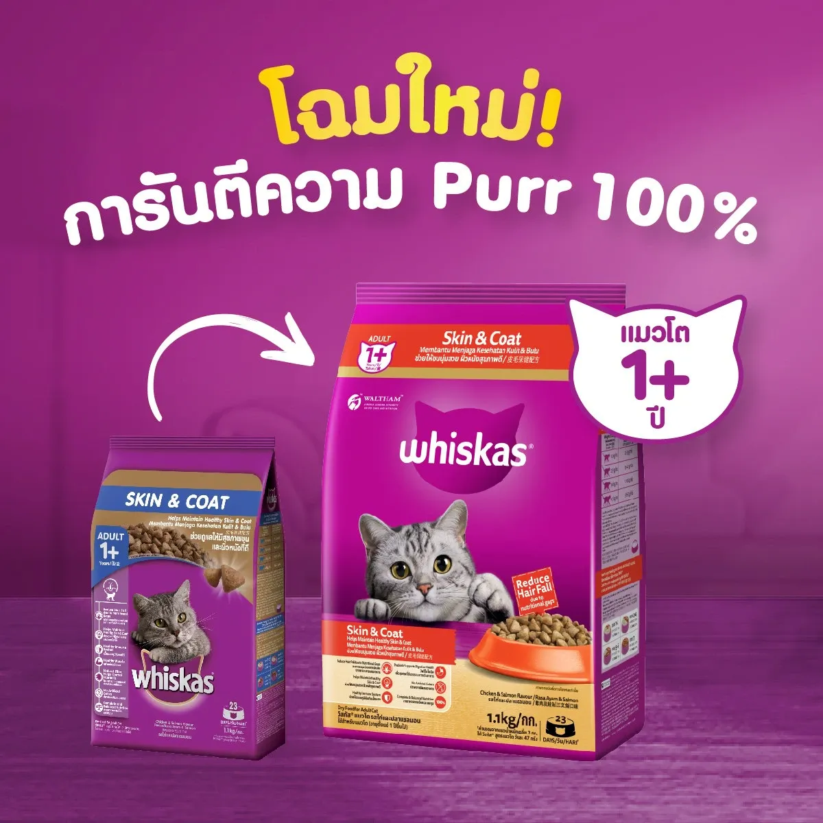 Whiskas Adult Hairskin ดูแลขนและผิวหนัง 1.1Kg
