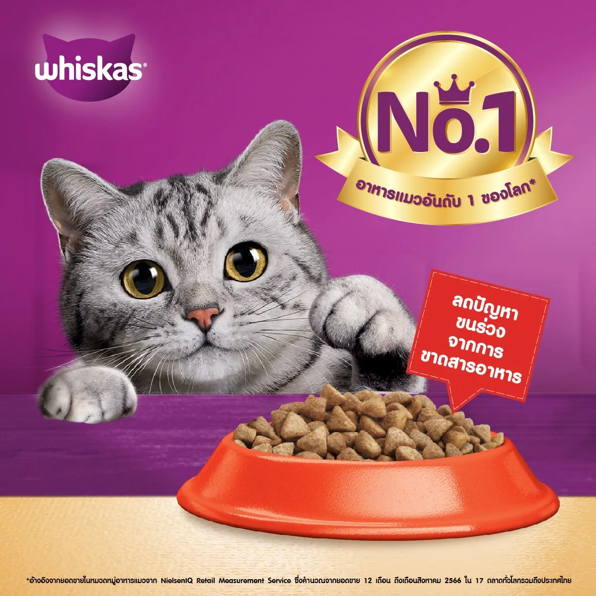 Whiskas Adult Hairskin ดูแลขนและผิวหนัง 1.1Kg