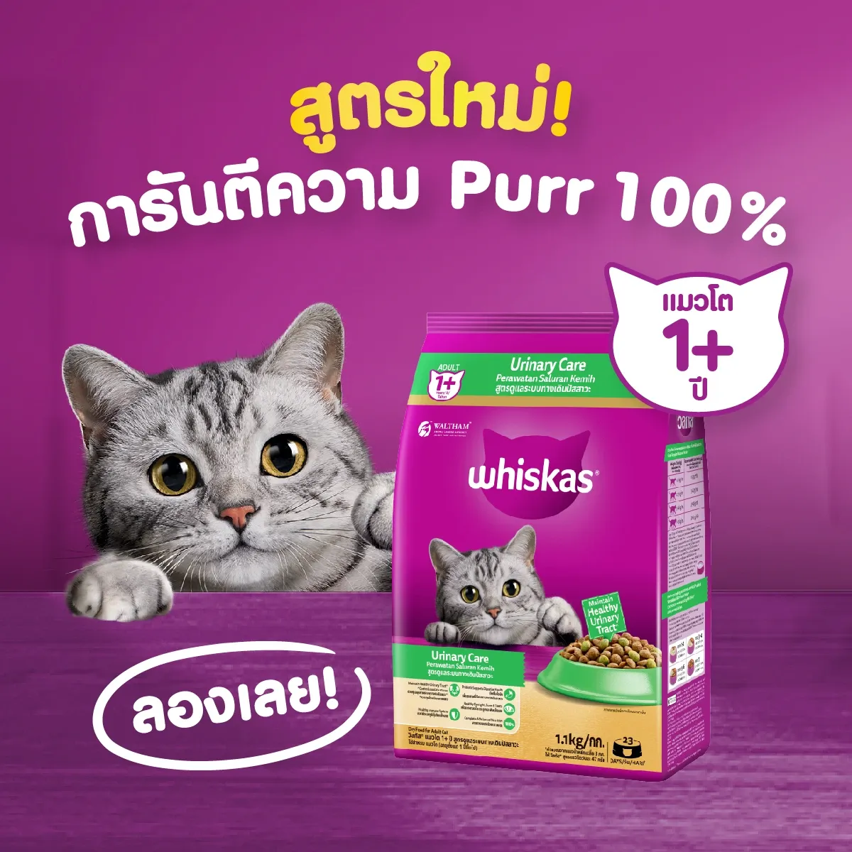 Whiskas Adult Urinary สูตรดูแลระบบทางเดินปัสสาวะ