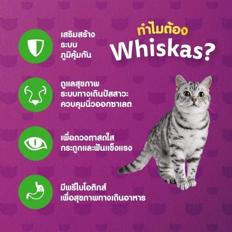 Whiskas Adult Urinary สูตรดูแลระบบทางเดินปัสสาวะ