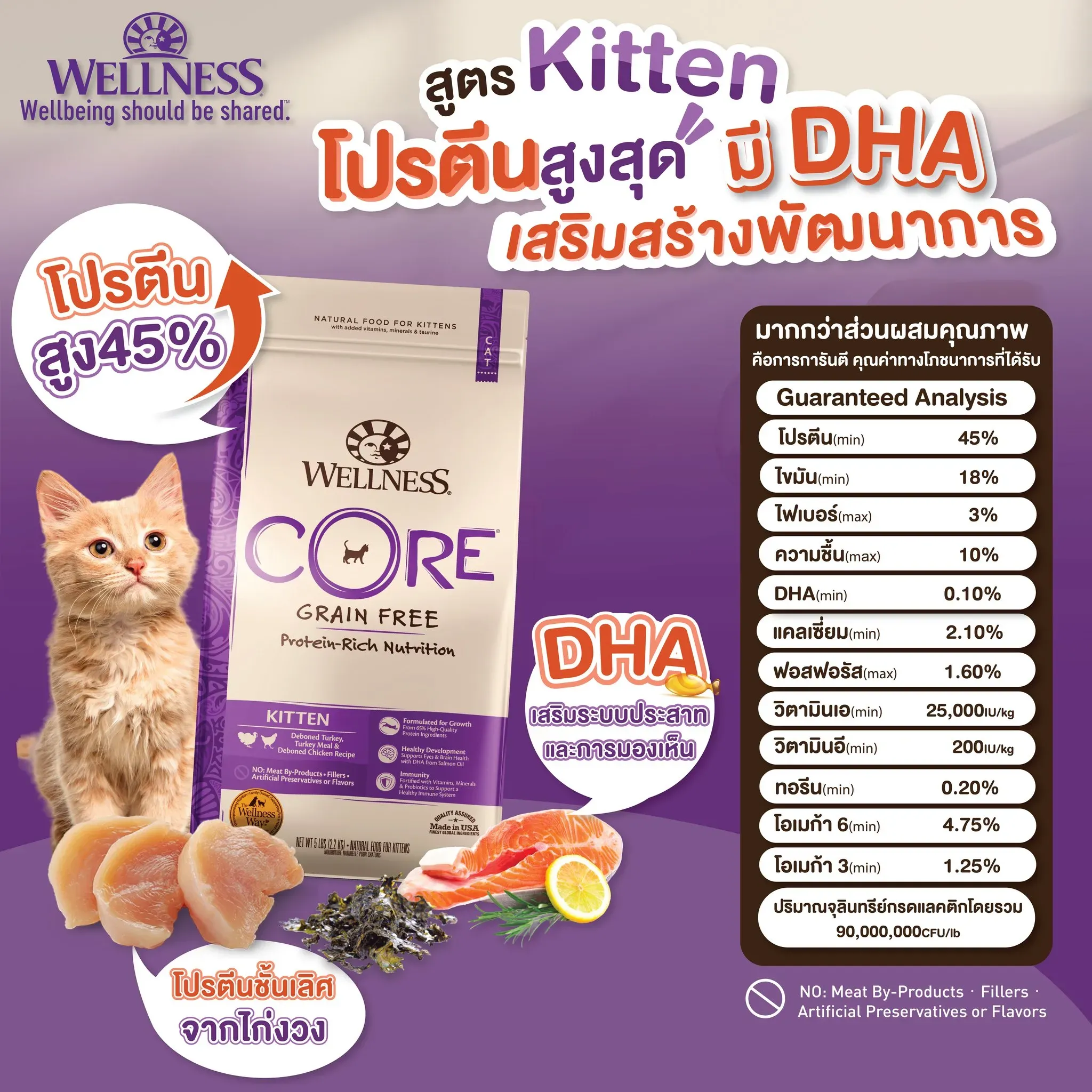 Wellness Core อาหารแมวเม็ด สูตร Kitten