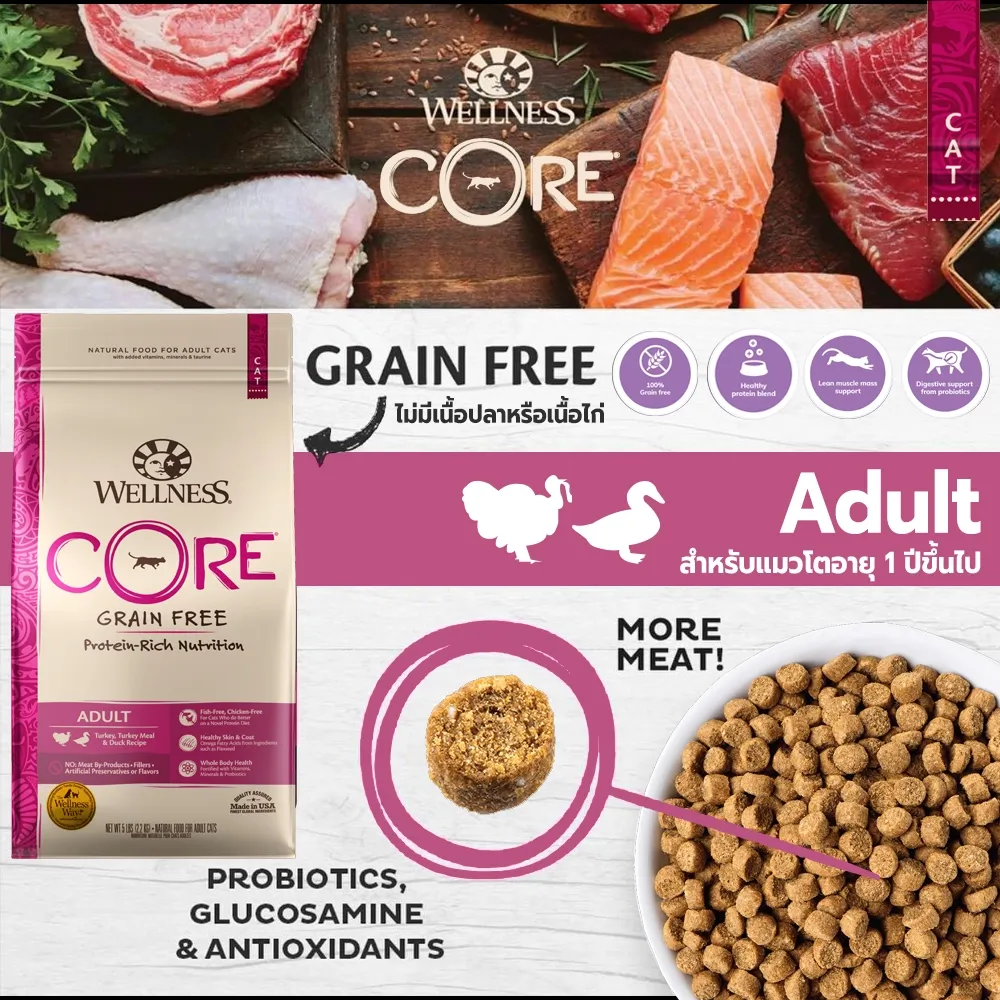 Wellness Core อาหารแมวเม็ด สูตร Turkey&Duck