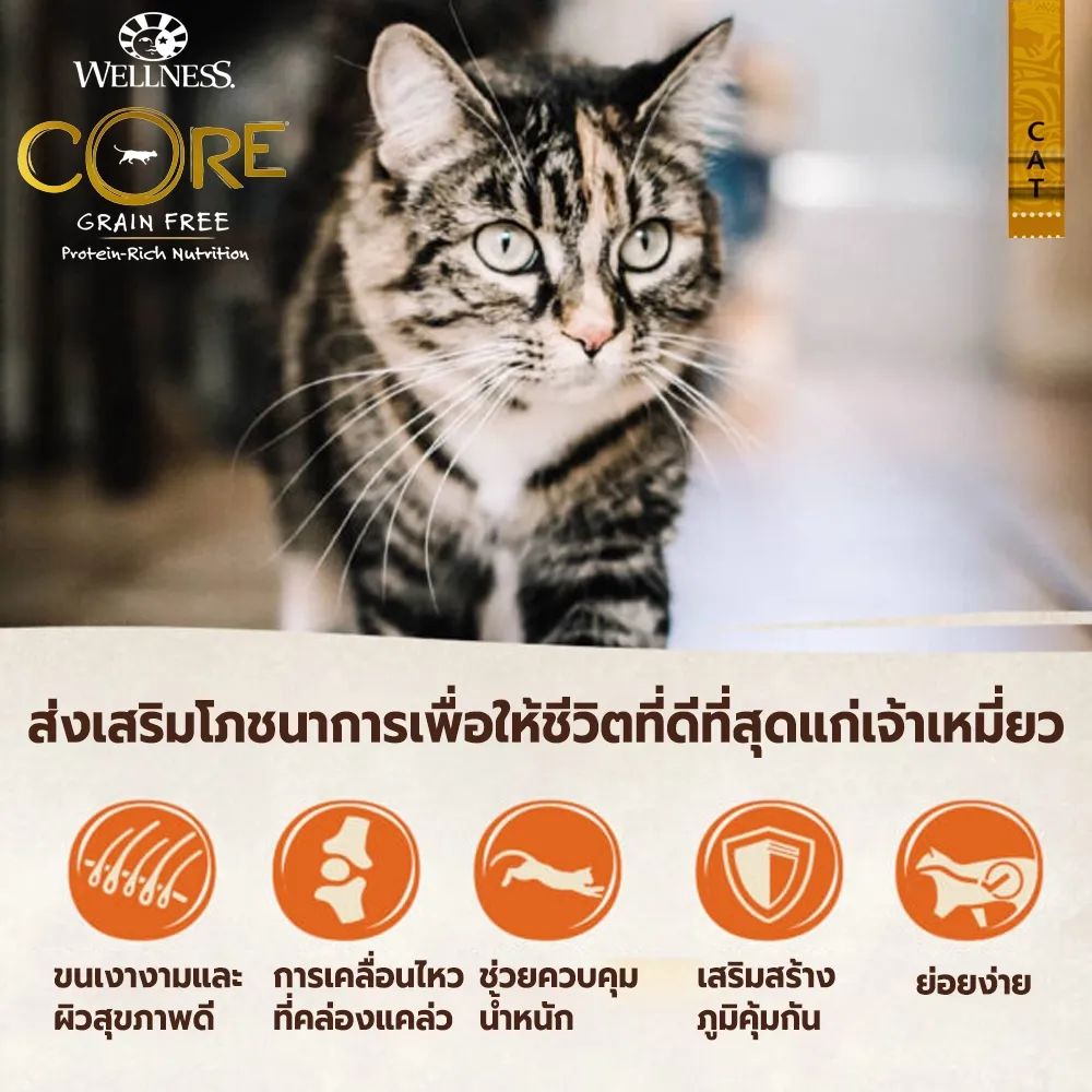 Wellness Core อาหารแมวเม็ด สูตร Original