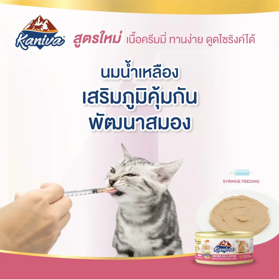 Kaniva Mother Cat & Kitten กระป๋อง
