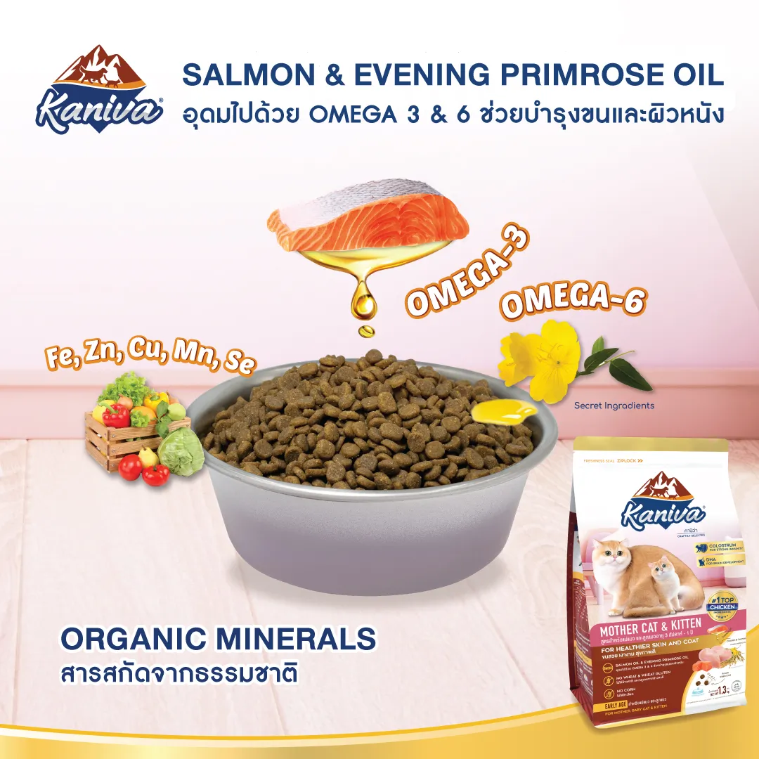 Kaniva Mother Cat & Kitten Cat Food สูตรแม่แมว และลูกแมว