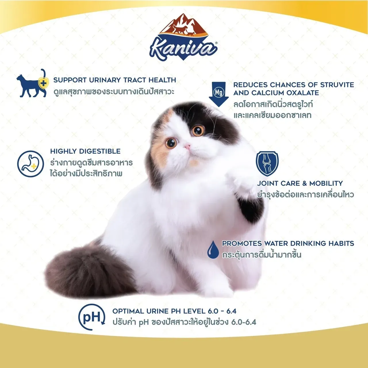 Kaniva Urinary Care Formula สูตรดูแลสุขภาพระบบทางเดินปัสสาวะ