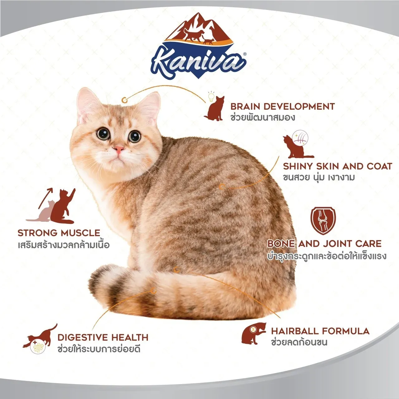 Kaniva Growth & Balance Cat Food สูตรอาหารแมว เนื้อไก่ และไข่
