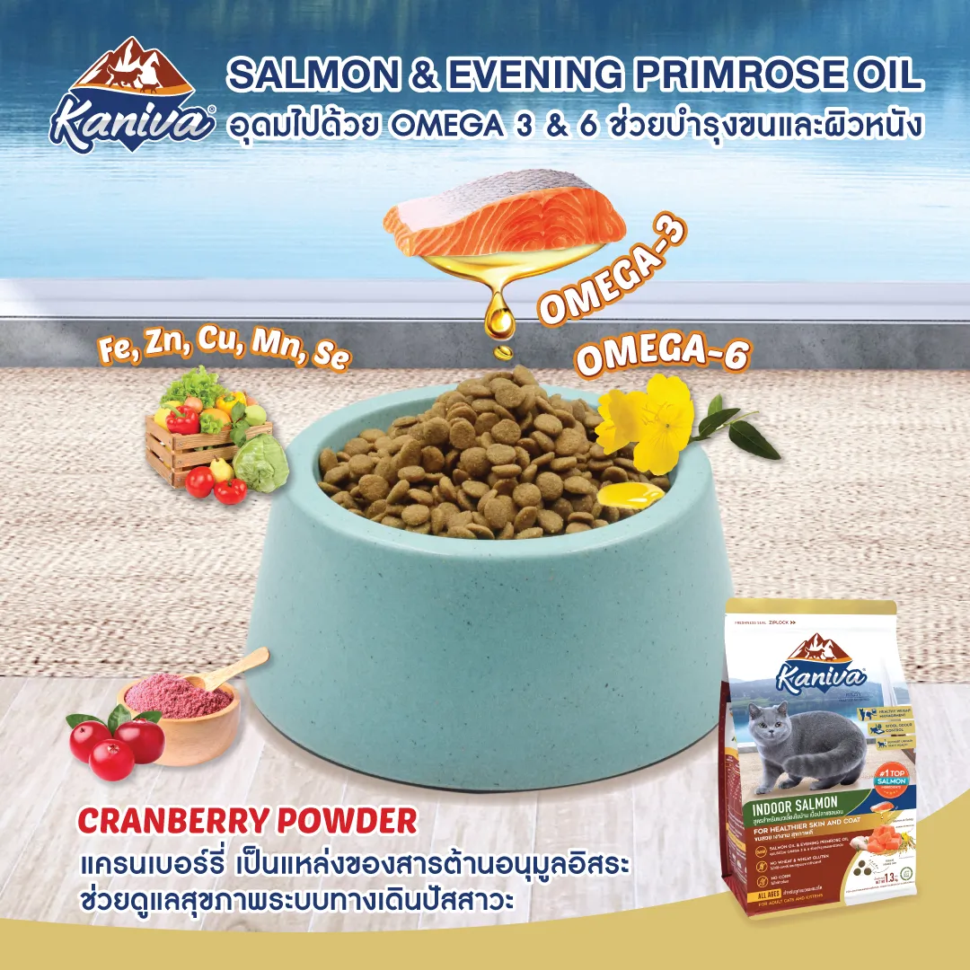 Kaniva Indoor Salmon Cat Food สูตรแมวเลี้ยงในบ้าน – แซลมอน
