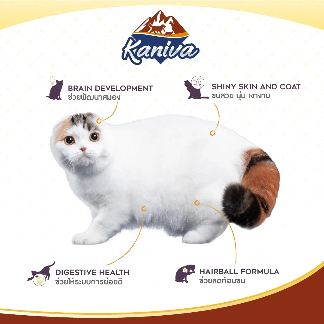 Kaniva Lamb & Tuna Cat Food สูตรอาหารแมว เนื้อแกะ ทูน่า และข้าว