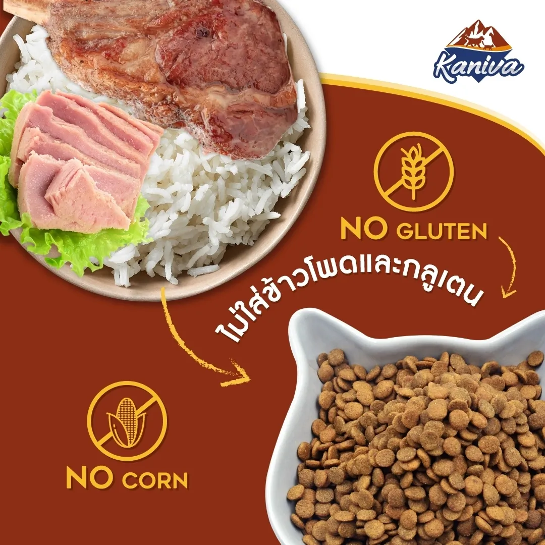 Kaniva Lamb & Tuna Cat Food สูตรอาหารแมว เนื้อแกะ ทูน่า และข้าว