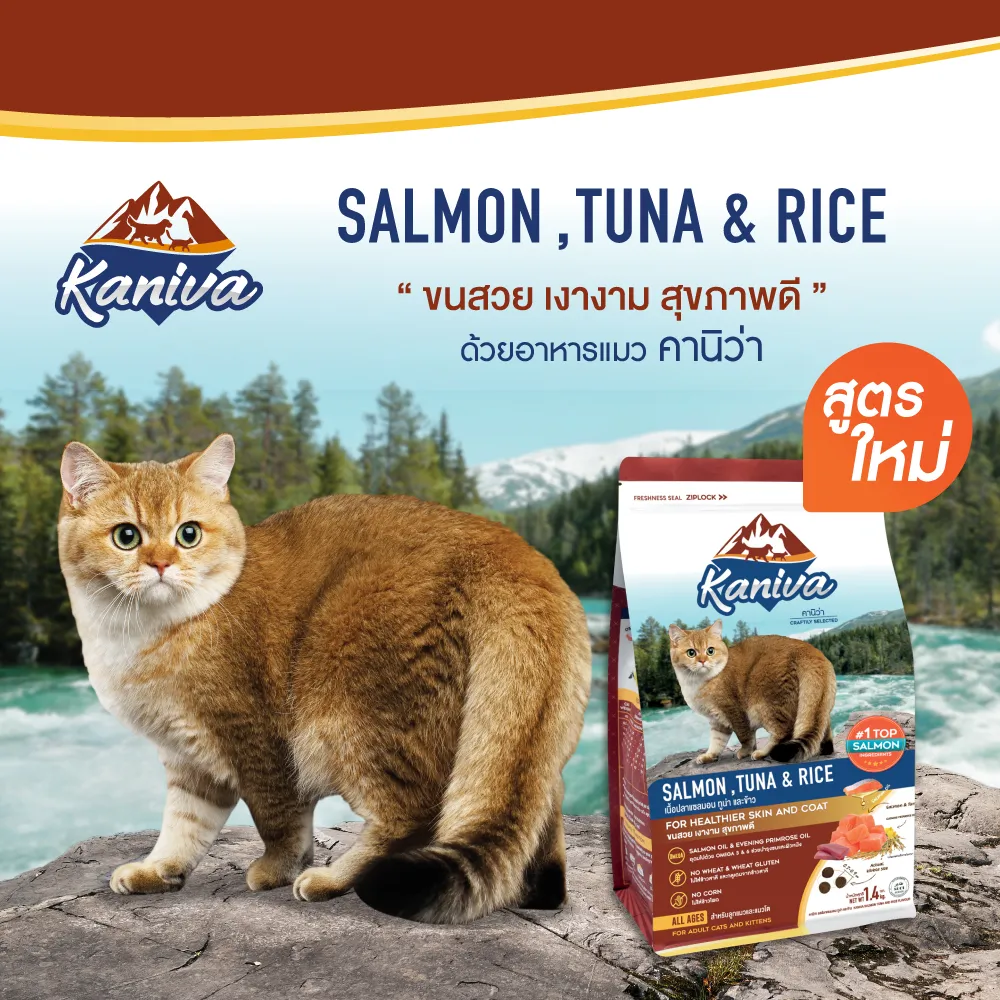 Kaniva Salmon & Tuna Cat Food สูตรอาหารแมว ปลาแซลมอน ทูน่า และข้าว