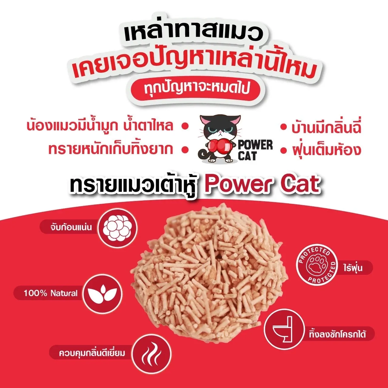 Power Cat ทรายแมวเต้าหู้ 6 ลิตร