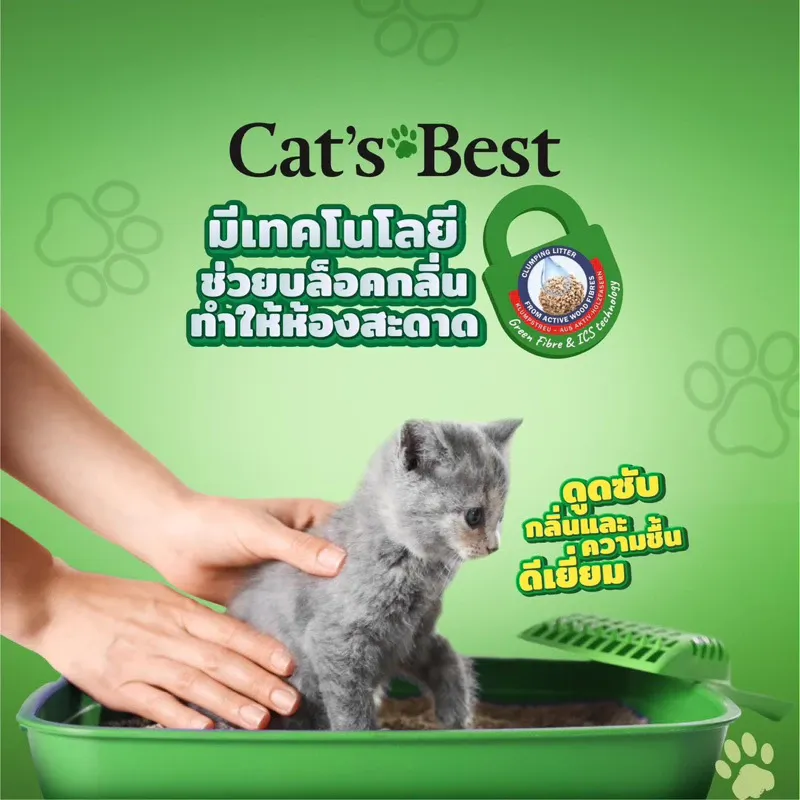 Cat S Best Original ทรายแมวจากไม้สน