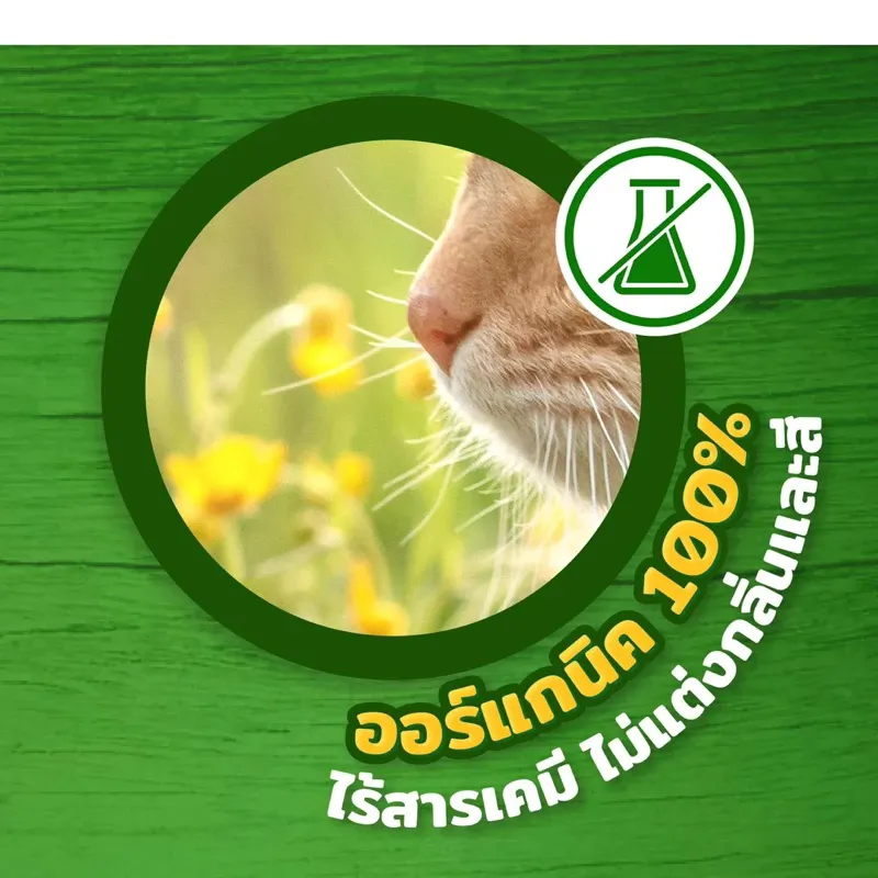 Cat S Best Original ทรายแมวจากไม้สน
