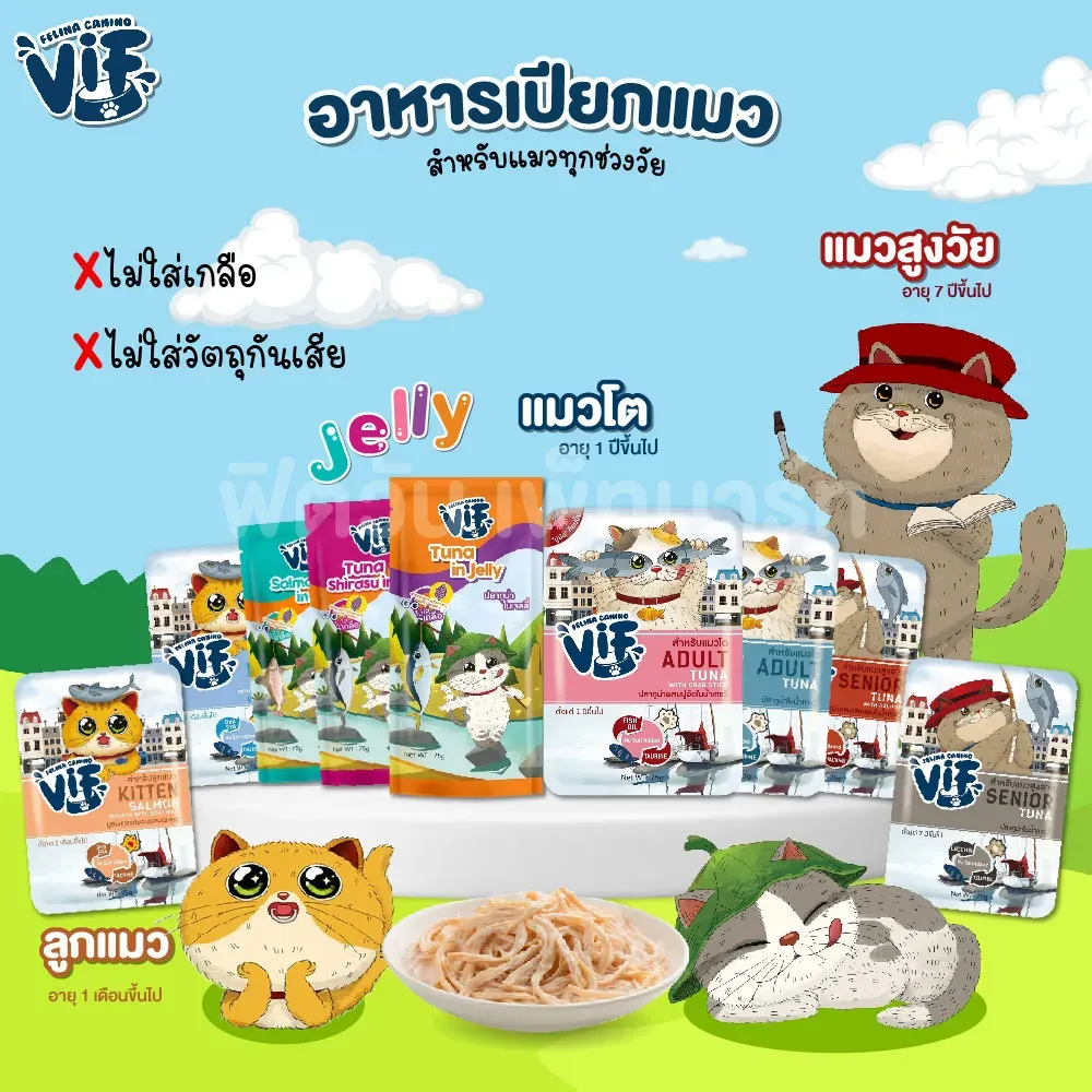 Vif Pouch อาหารเปียกแมวซอง 75g