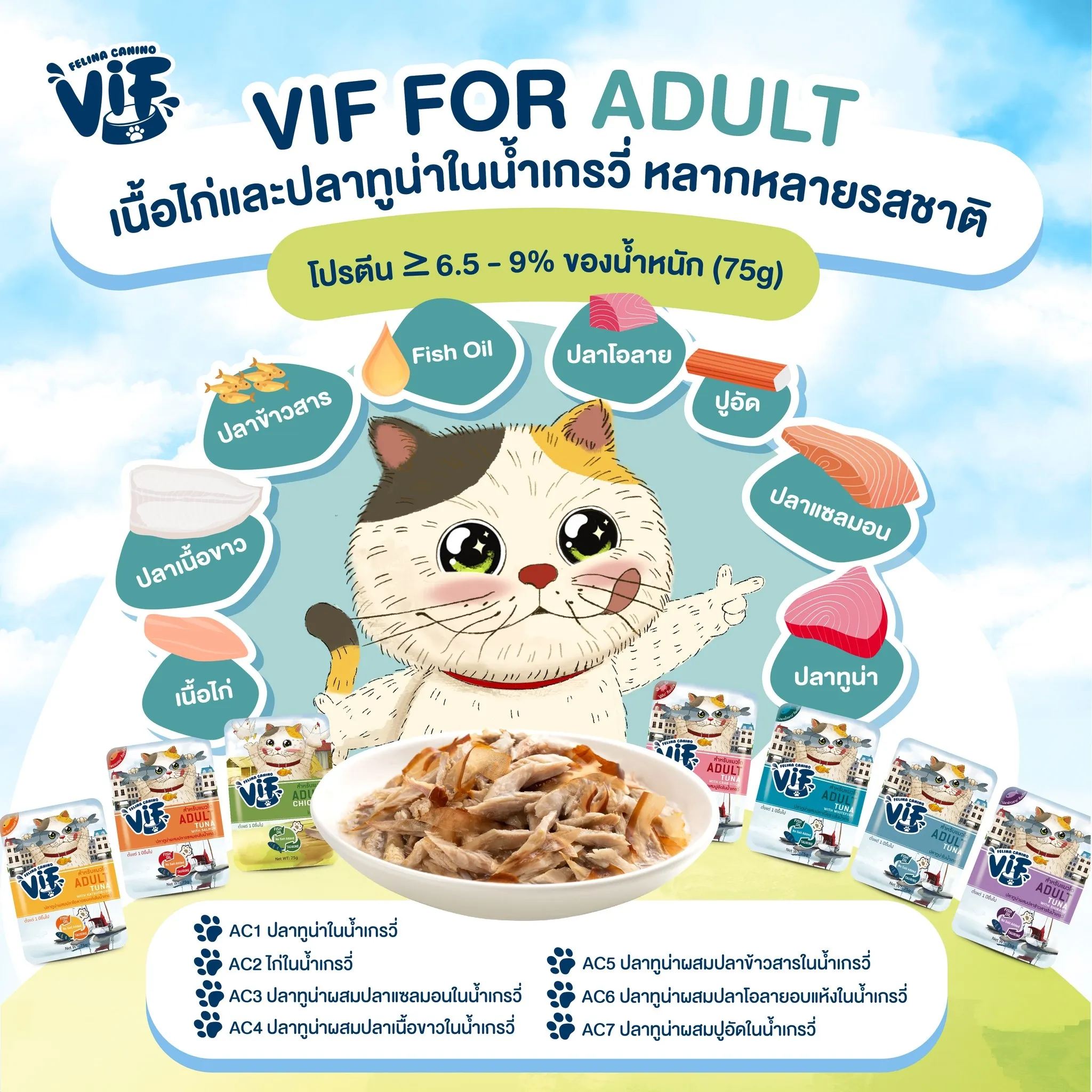 Vif Pouch อาหารเปียกแมวซอง 75g