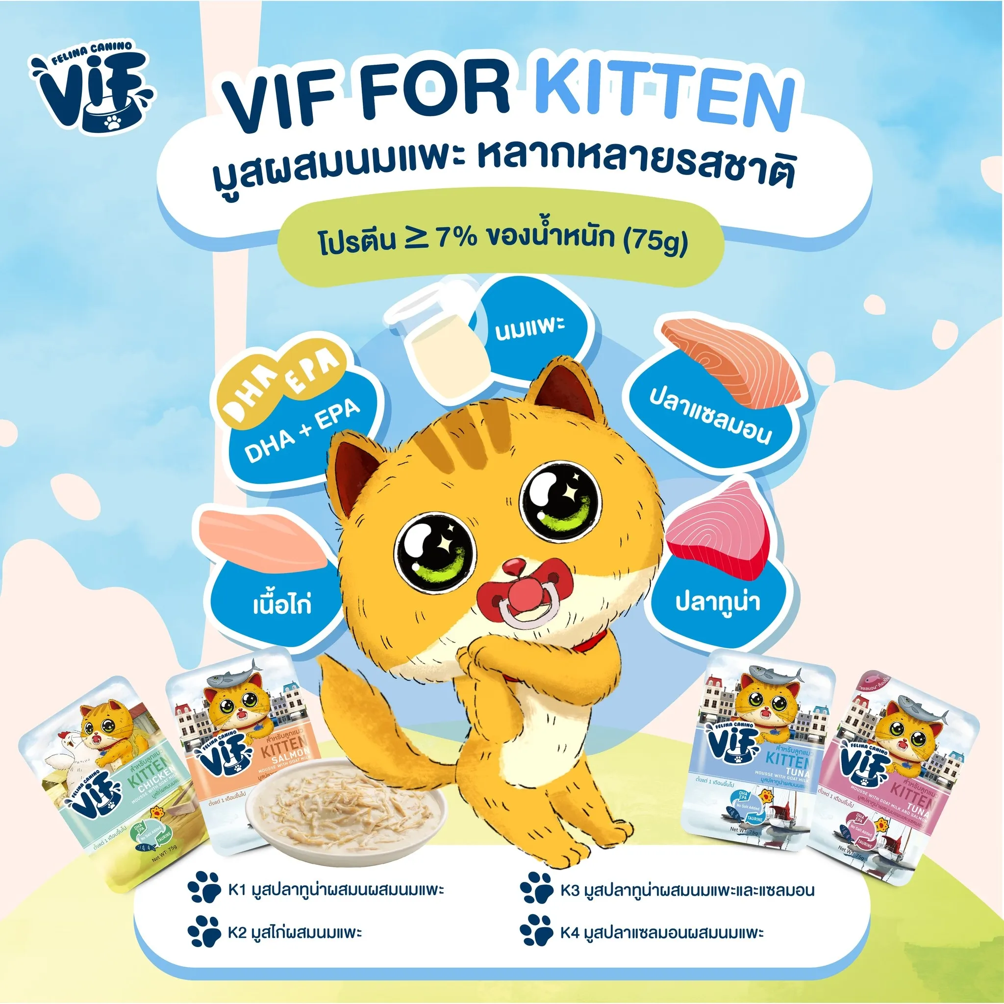 Vif Pouch อาหารเปียกแมวซอง 75g