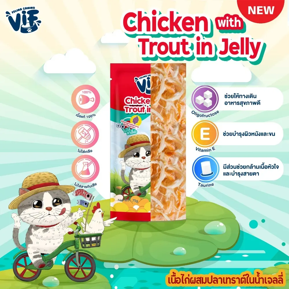 Vif Pouch อาหารเปียกแมวซอง 75g
