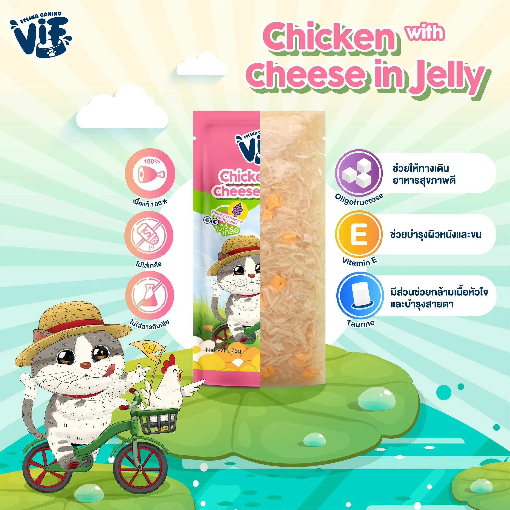 Vif Pouch อาหารเปียกแมวซอง 75g