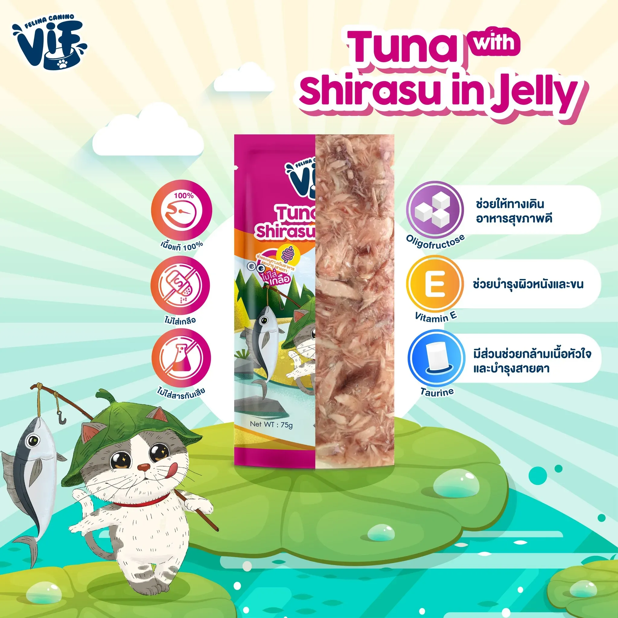 Vif Pouch อาหารเปียกแมวซอง 75g