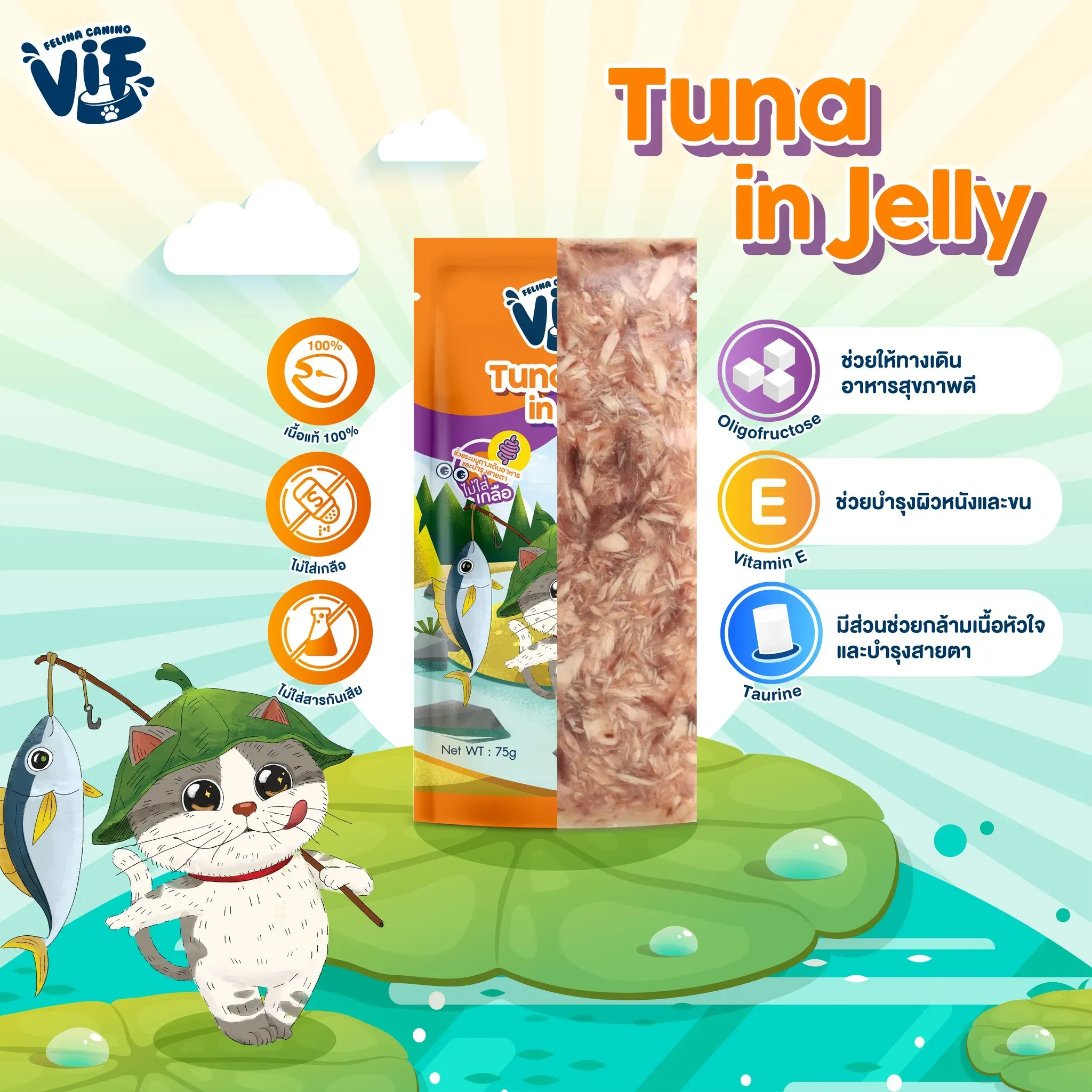 Vif Pouch อาหารเปียกแมวซอง 75g