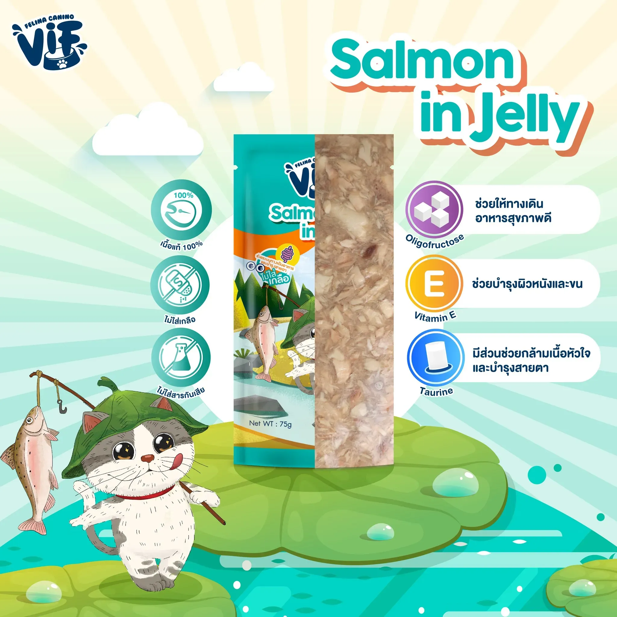Vif Pouch อาหารเปียกแมวซอง 75g