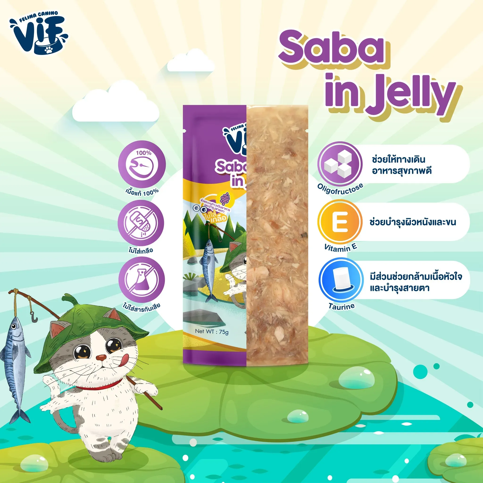 Vif Pouch อาหารเปียกแมวซอง 75g