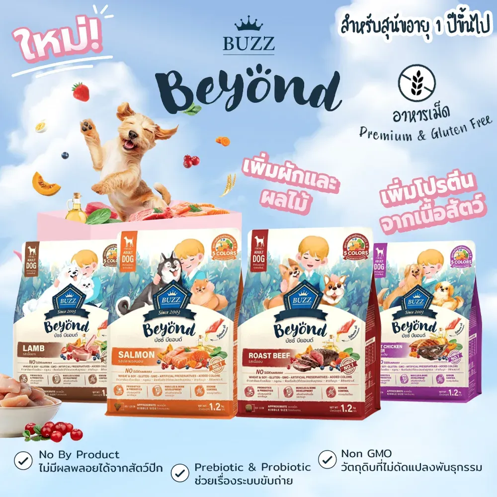 Buzz Beyond สูตรสุนัขโต