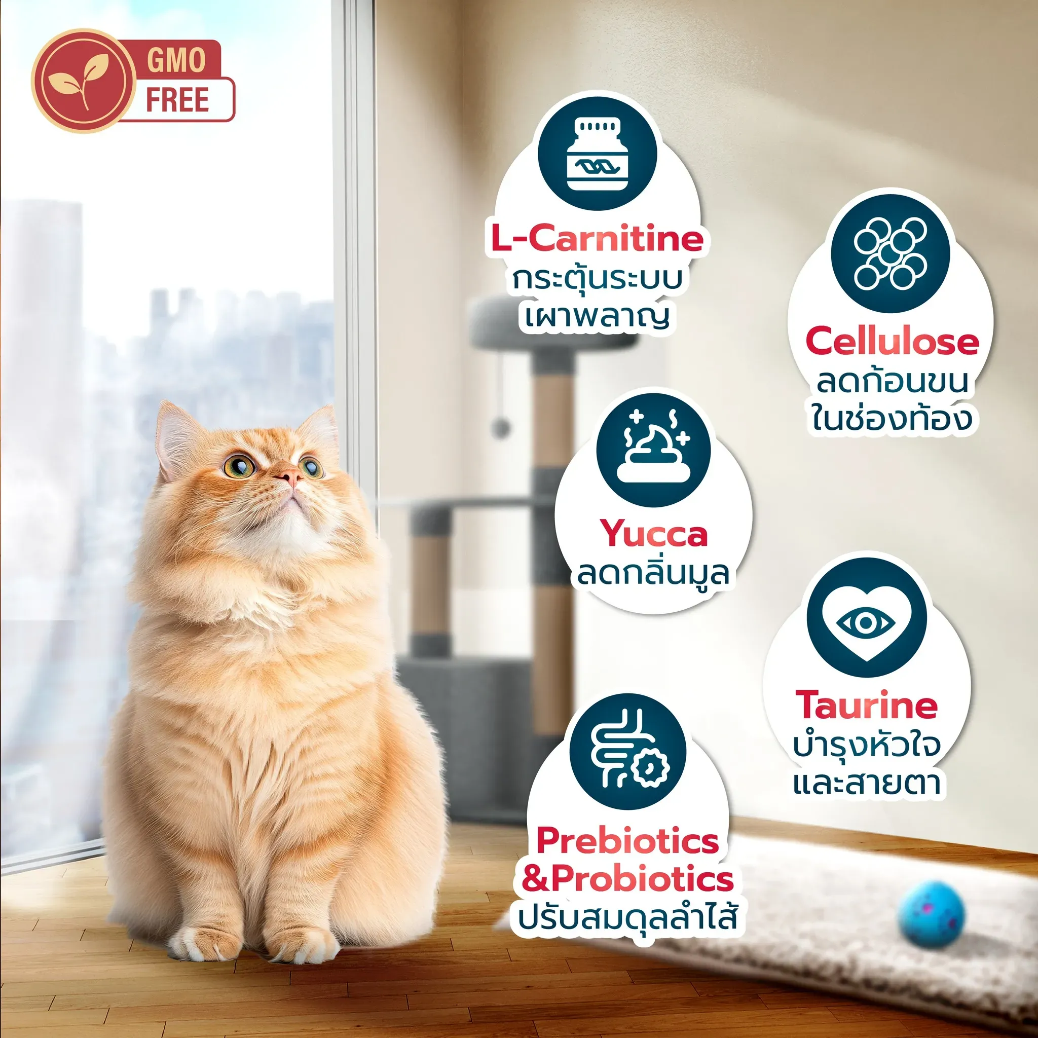 Buzz Netura Holistic Adult & Senior Indoor & Sterilized สูตรปลาค็อด และ ปลาเทราต์