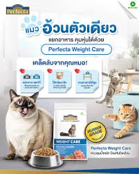 Perfecta Care อาหารแมวโต สูตร Weight Care (ควบคุมน้ำหนัก)