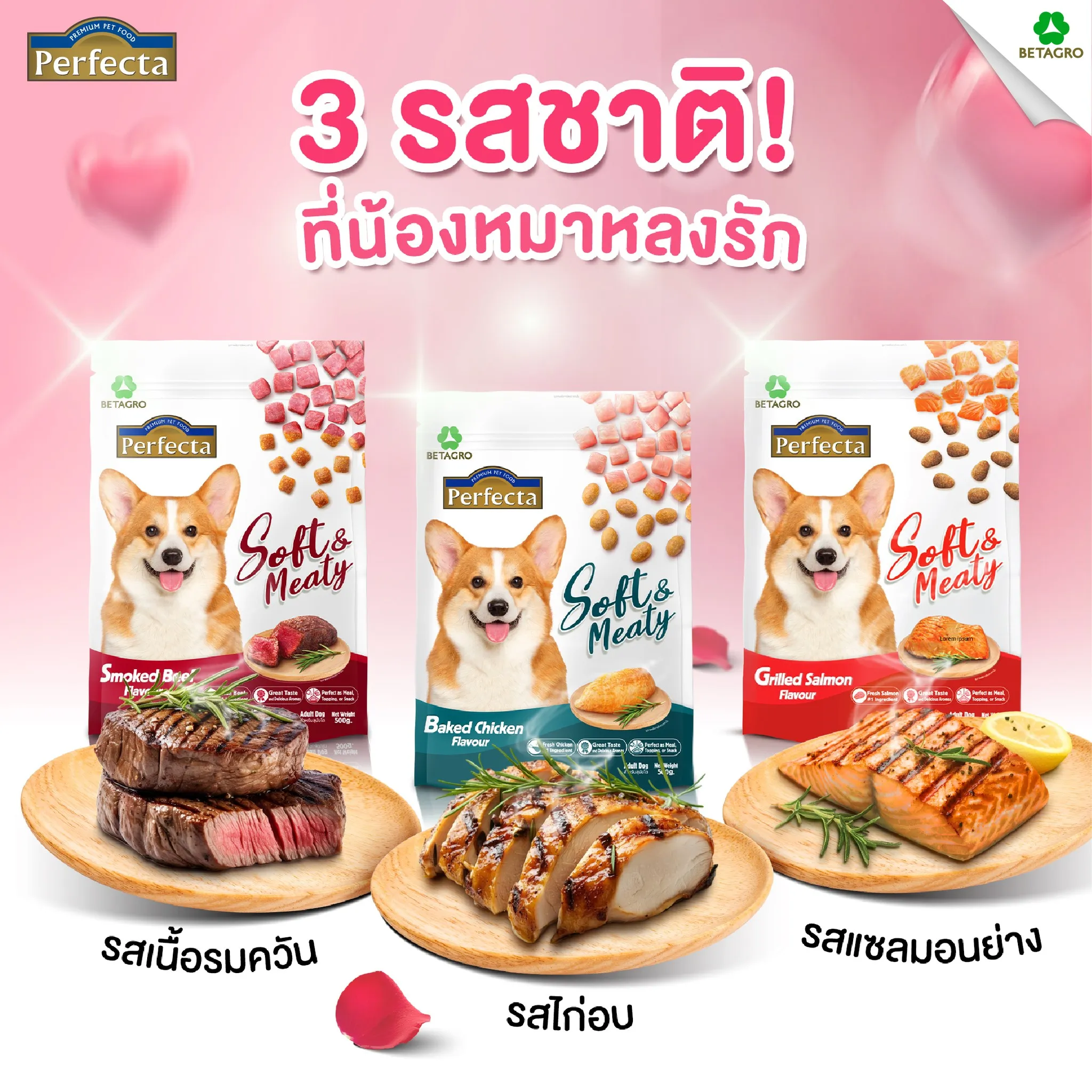 Perfecta Soft&Meaty อาหารสำหรับสุนัขโต