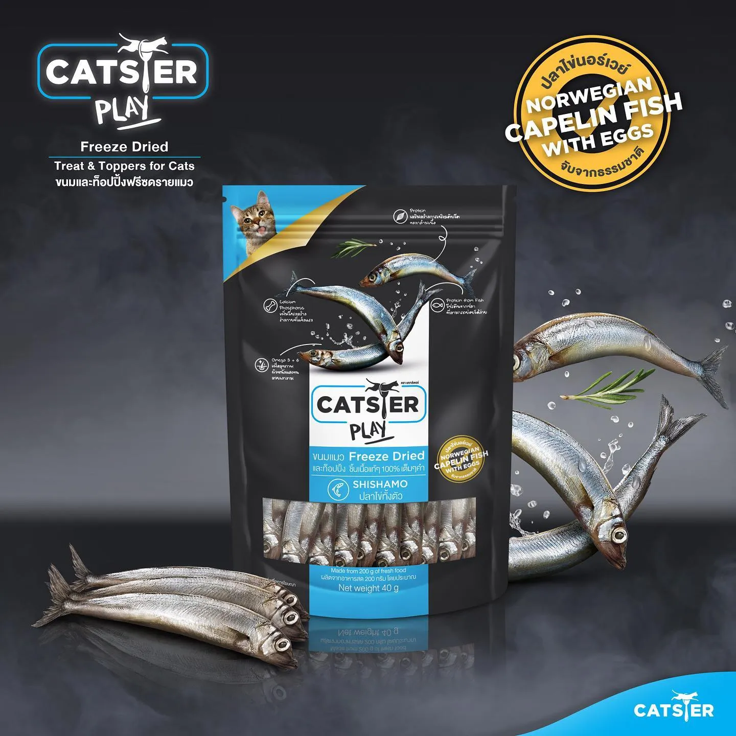 Catster Play Black ขนมฟรีซดรายแมว
