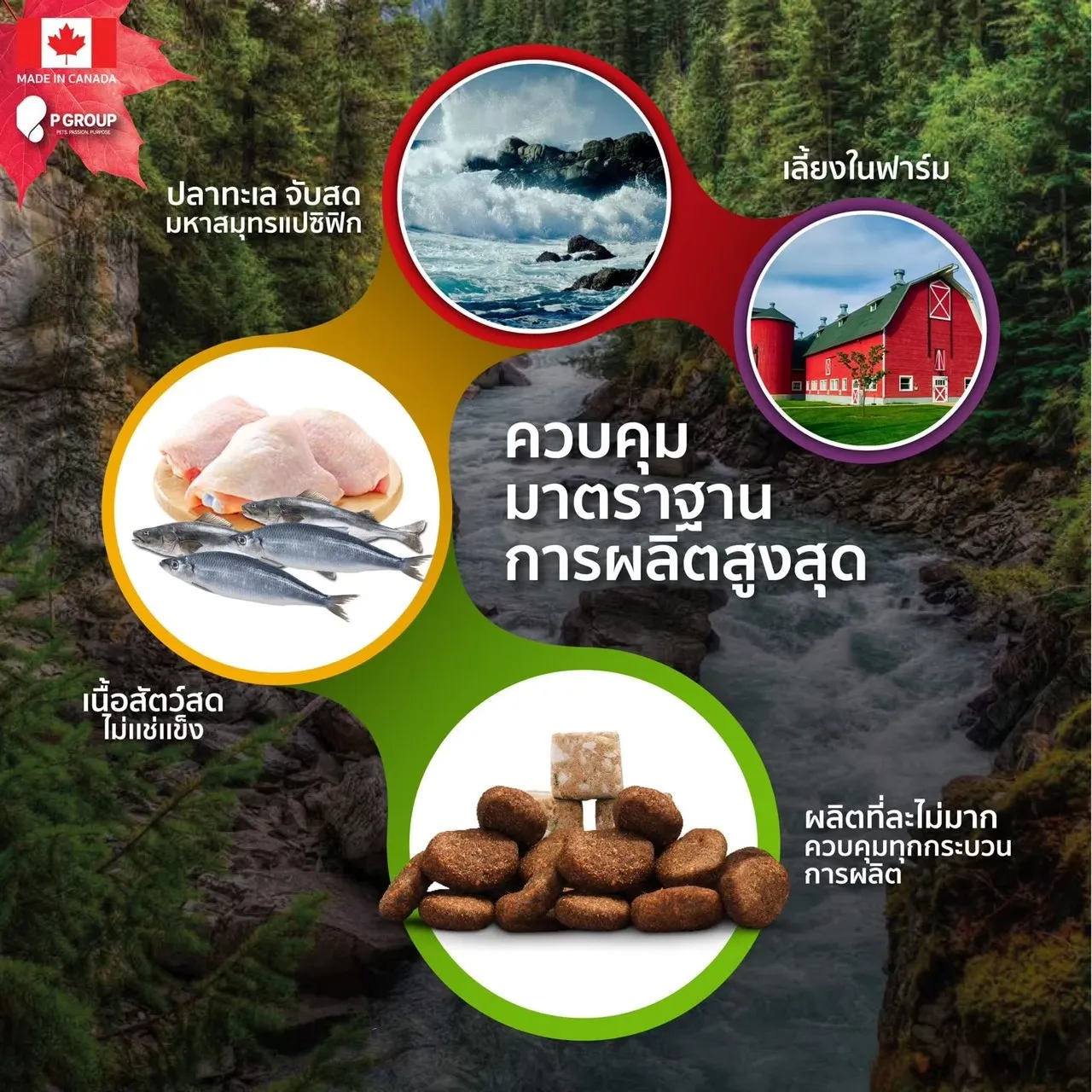 Nutrience Subzero Fraser Valley อาหารสุนัข สูตร Grain-Free ผสมฟรีซดราย
