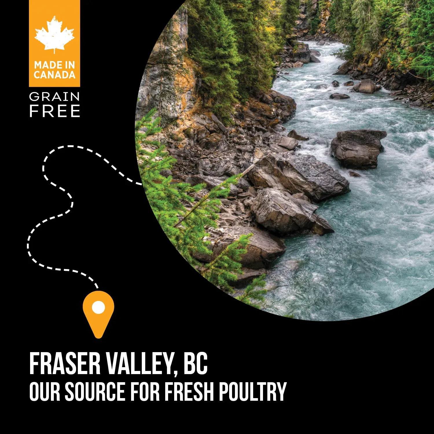 Nutrience Subzero Fraser Valley อาหารแมว Grain-Free ผสมฟรีซดราย (สูตรไก่ ไก่งวง และปลา)