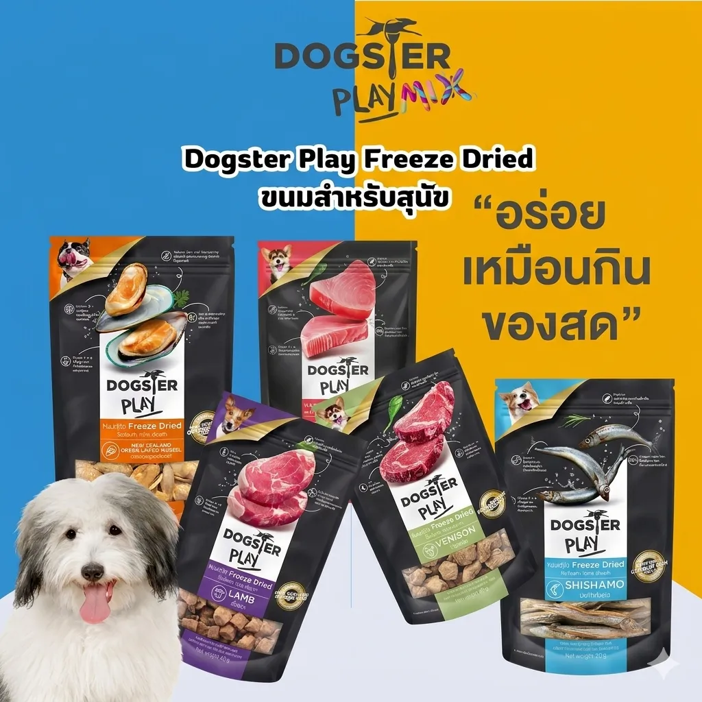 Dogster Play Black ขนมฟรีซดรายสุนัข